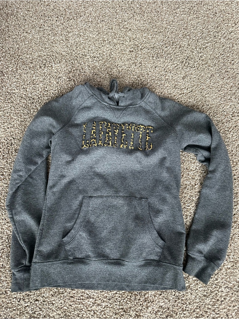 Champion Kids Gray Hoodie with Leopard Print "Lafayette" Accent